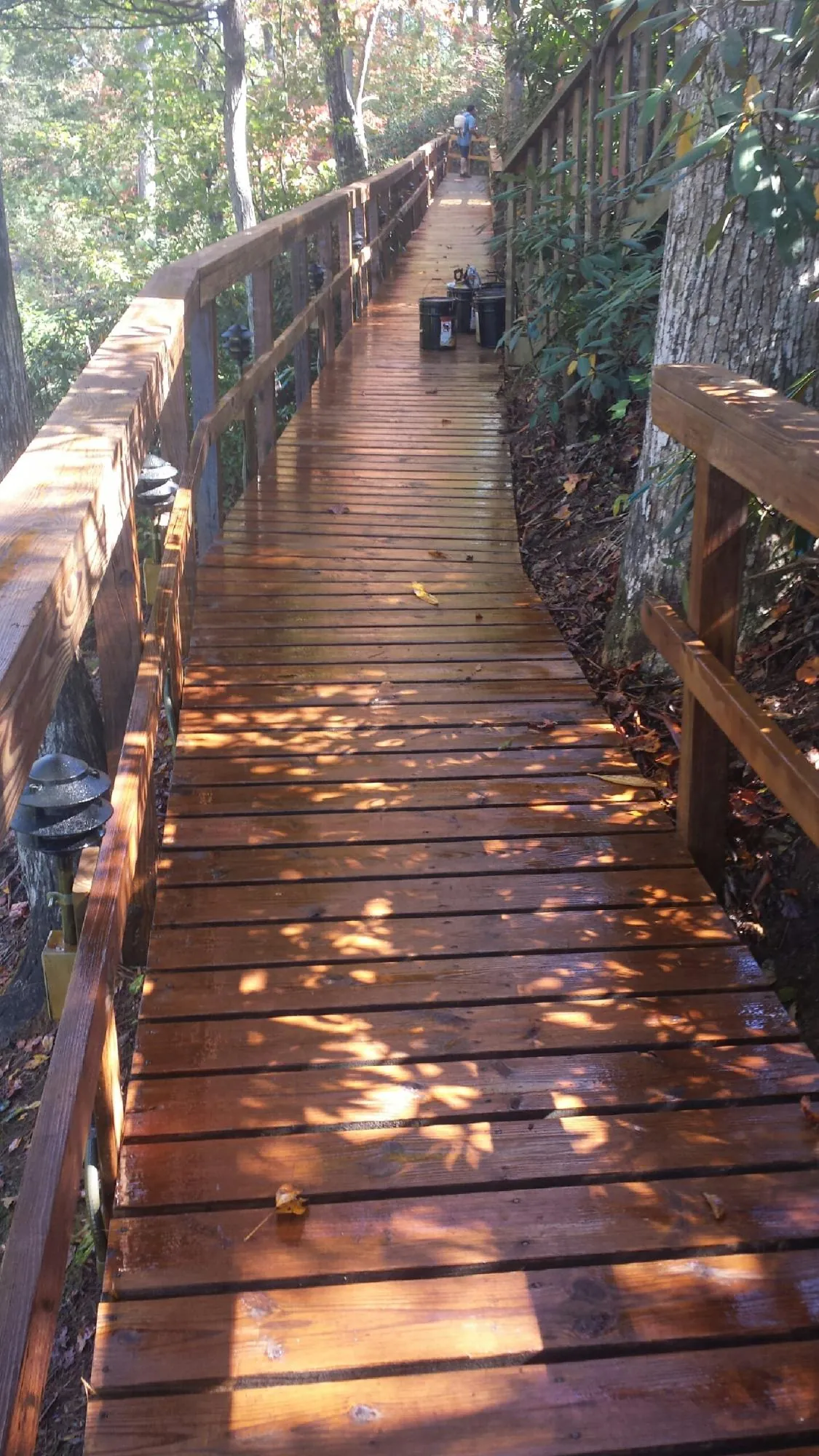 Freshly stained wood walkway winding through the woods in Mountville